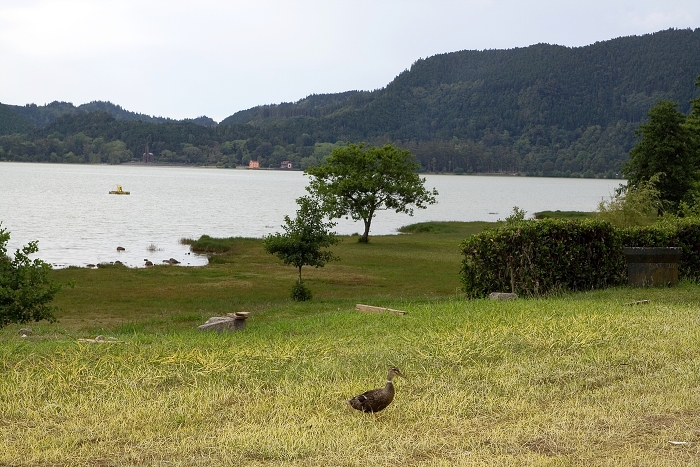 img00030.jpg