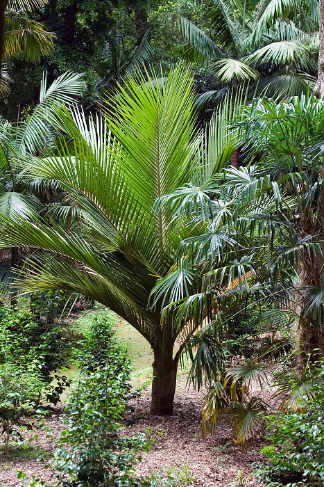 img00044.jpg