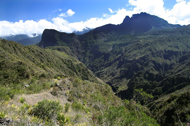 img00098.jpg