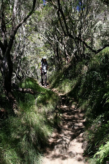 img00111.jpg