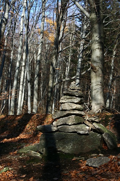 img00003.jpg